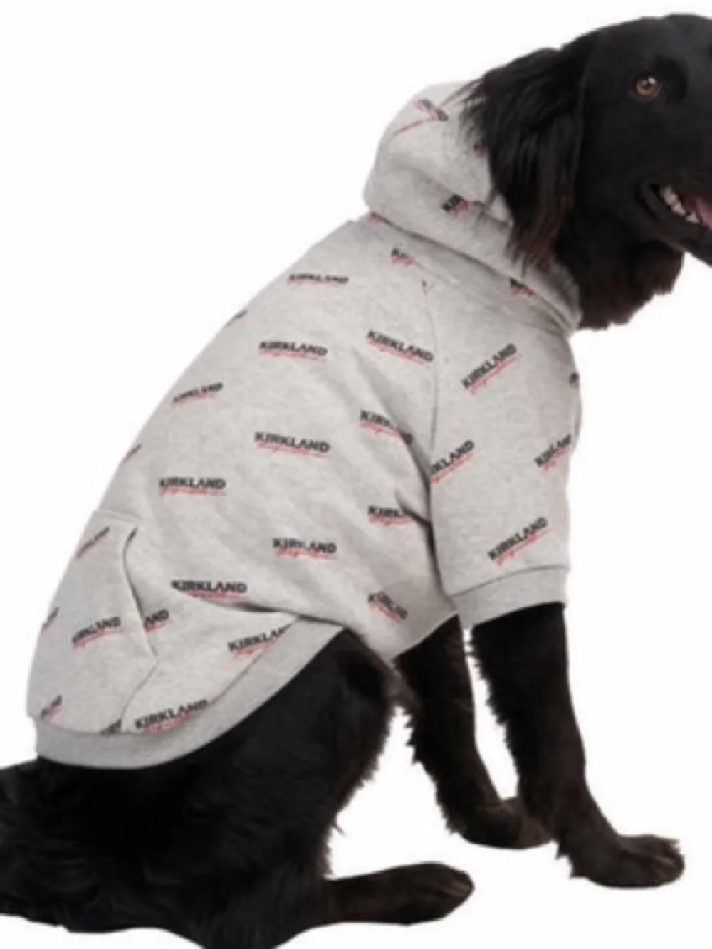 Kirkland Signature Light Gray Dog Hoodie with Logo Print